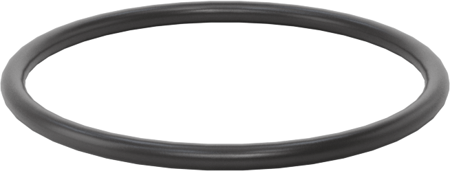 Ultra Kimyasala Dayanıklı FFKM 4079 O-Ring, 1/16 Kesirli Genişlik, Dash Numarası 025