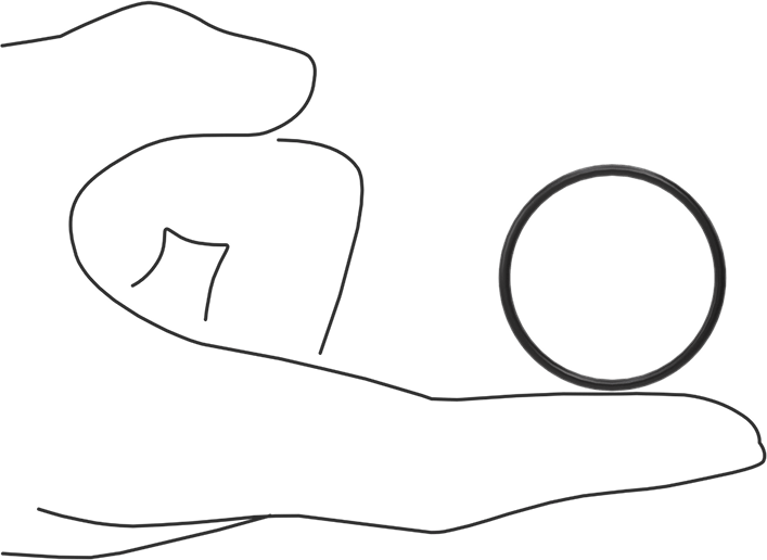 Ultra Kimyasala Dayanıklı FFKM 4079 O-Ring, 1/16 Kesirli Genişlik, Dash Numarası 026