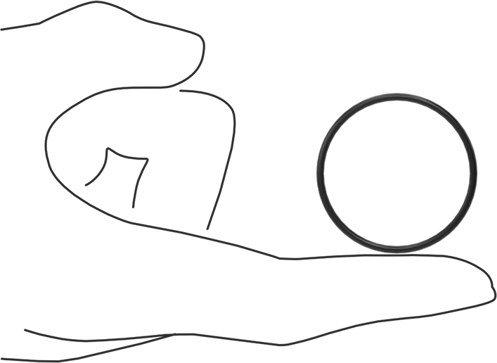 Ultra Kimyasala Dayanıklı FFKM 4079 O-Ring, 1/16 Kesirli Genişlik, Dash Numarası 028