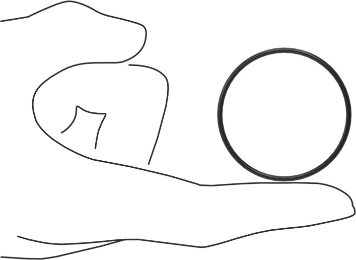 Ultra Kimyasala Dayanıklı FFKM 4079 O-Ring, 1/16 Kesirli Genişlik, Dash Numarası 030