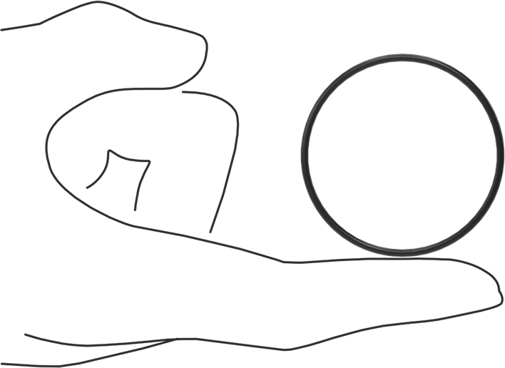 Ultra Kimyasala Dayanıklı FFKM 4079 O-Ring, 1/16 Kesirli Genişlik, Dash Numarası 031