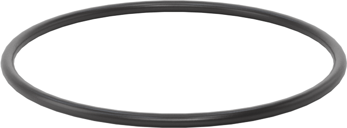 Ultra Kimyasala Dayanıklı FFKM 4079 O-Ring, 1/16 Kesirli Genişlik, Dash Numarası 031