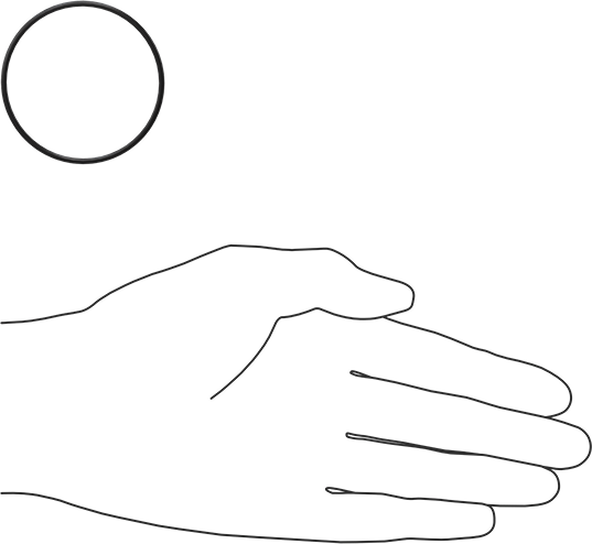 Ultra Kimyasala Dayanıklı FFKM 4079 O-Ring, 1/16 Kesirli Genişlik, Dash Numarası 032