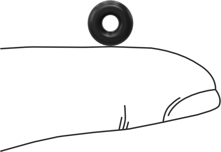 Ultra Kimyasala Dayanıklı FFKM 4079 O-Ring, 3/32 Kesirli Genişlik, Dash Numarası 104