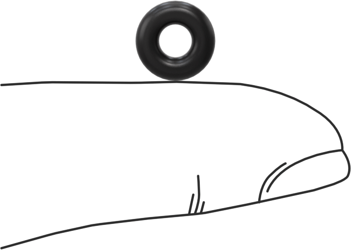 Ultra Kimyasala Dayanıklı FFKM 4079 O-Ring, 3/32 Kesirli Genişlik, Dash Numarası 105