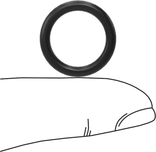 Ultra Kimyasala Dayanıklı FFKM 4079 O-Ring, 3/32 Kesirli Genişlik, Dash Numarası 113