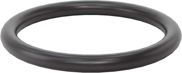 Ultra Kimyasala Dayanıklı FFKM 4079 O-Ring, 3/32 Kesirli Genişlik, Dash Numarası 119