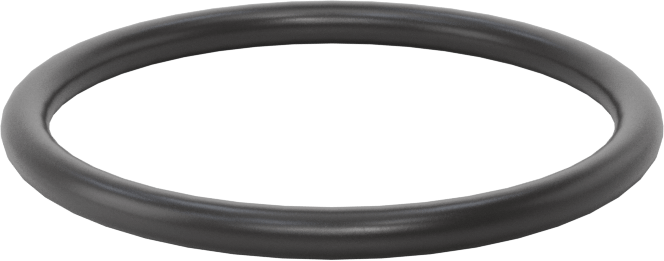 Ultra Kimyasala Dayanıklı FFKM 4079 O-Ring, 3/32 Kesirli Genişlik, Dash Numarası 124