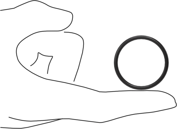 Ultra Kimyasala Dayanıklı FFKM 4079 O-Ring, 3/32 Kesirli Genişlik, Dash Numarası 124