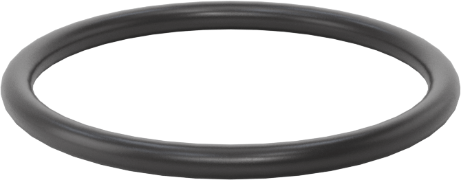 Ultra Kimyasala Dayanıklı FFKM 4079 O-Ring, 3/32 Kesirli Genişlik, Dash Numarası 125