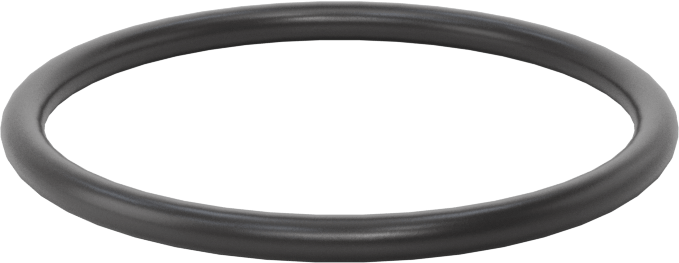 Ultra Kimyasala Dayanıklı FFKM 4079 O-Ring, 3/32 Kesirli Genişlik, Dash Numarası 127