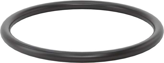 Ultra Kimyasala Dayanıklı FFKM 4079 O-Ring, 3/32 Kesirli Genişlik, Dash Numarası 128