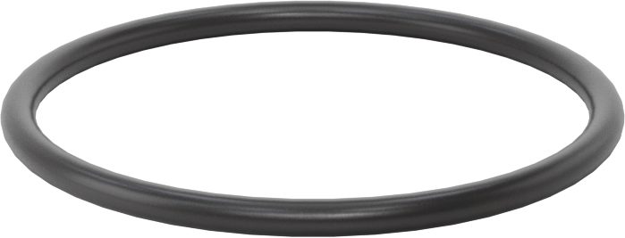 Ultra Kimyasala Dayanıklı FFKM 4079 O-Ring, 3/32 Kesirli Genişlik, Dash Numarası 131