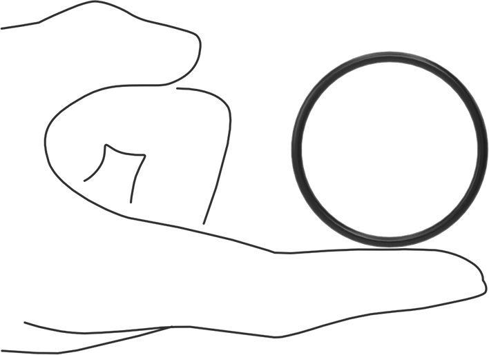 Ultra Kimyasala Dayanıklı FFKM 4079 O-Ring, 3/32 Kesirli Genişlik, Dash Numarası 131