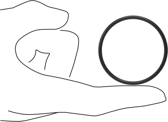 Ultra Kimyasala Dayanıklı FFKM 4079 O-Ring, 3/32 Kesirli Genişlik, Dash Numarası 132