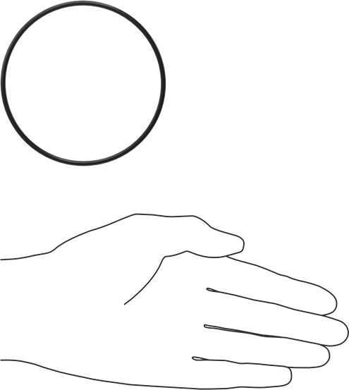 Ultra Kimyasala Dayanıklı FFKM 4079 O-Ring, 3/32 Kesirli Genişlik, Dash Numarası 152