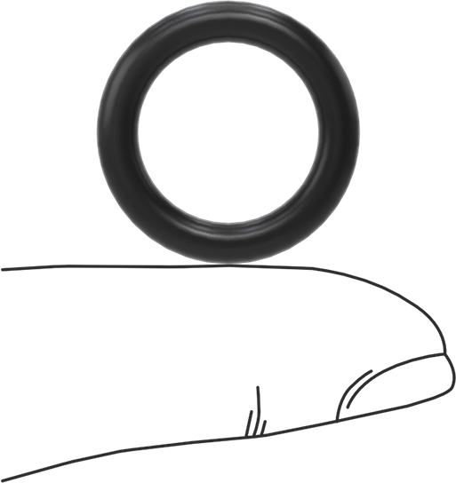 Ultra Kimyasala Dayanıklı FFKM 4079 O-Ring, 1/8 Kesirli Genişlik, Dash Numarası 208