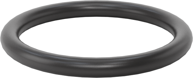 Ultra Kimyasala Dayanıklı FFKM 4079 O-Ring, 1/8 Kesirli Genişlik, Dash Numarası 217