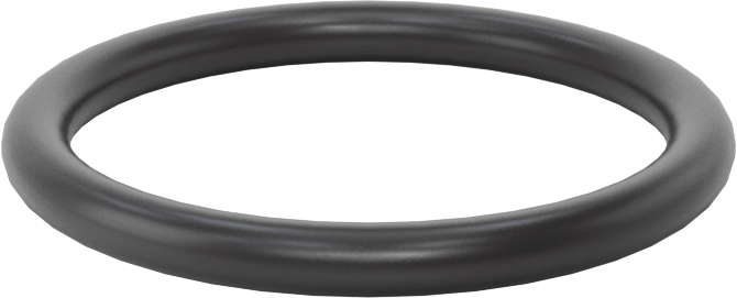 Ultra Kimyasala Dayanıklı FFKM 4079 O-Ring, 1/8 Kesirli Genişlik, Dash Numarası 218