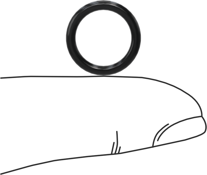 Ultra Kimyasala Dayanıklı FFKM 4079 O-Ring, Düz Dişli Bağlantılar İçin, Dash Numarası 905