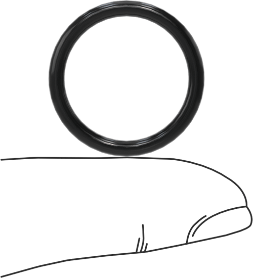 Ultra Kimyasala Dayanıklı FFKM 4079 O-Ring, Düz Dişli Bağlantılar İçin, Dash Numarası 910