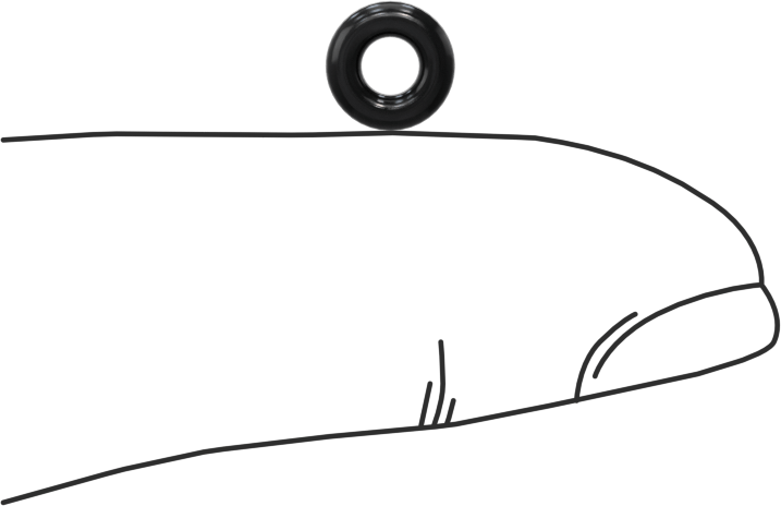 Suya ve Buhara Dayanıklı Yumuşak EPDM O-Rings, 1/16 Kesirli Genişlik, Dash Numarası 006