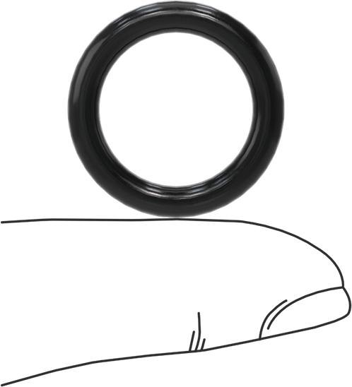 Suya ve Buhara Dayanıklı Yumuşak EPDM O-Rings, 1/8 Kesirli Genişlik, Dash Numarası 209