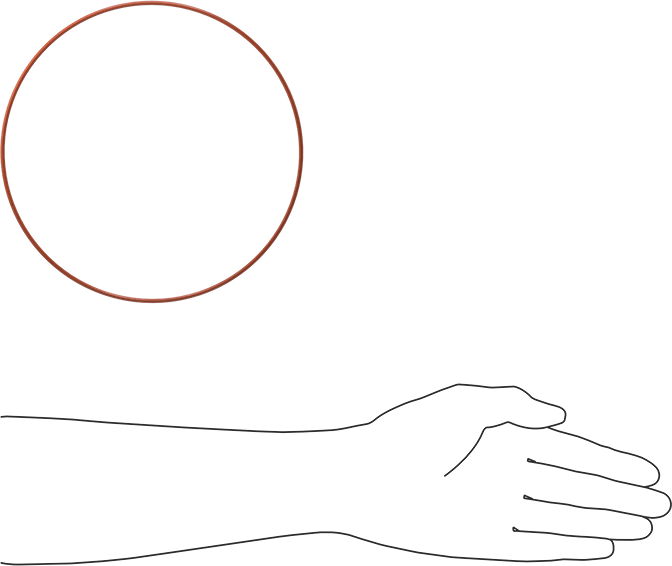 Yüksek Sıcaklık Silikon O-Ring, 3/32 Kesirli Genişlik, Dash Numarası 168