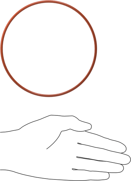 Yüksek Sıcaklık Silikon O-Ring, 1/8 Kesirli Genişlik, Dash Numarası 251