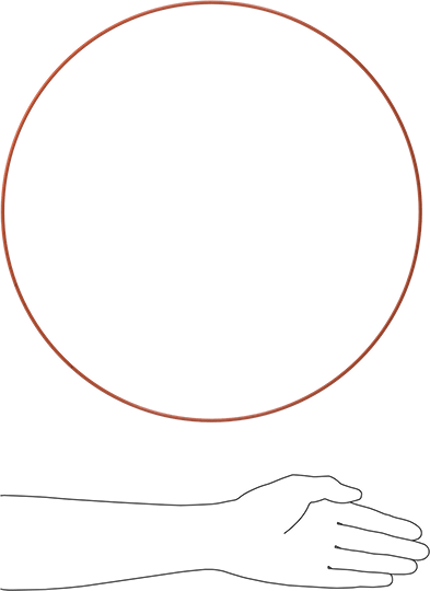 Yüksek Sıcaklık Silikon O-Ring, 1/8 Kesirli Genişlik, Dash Numarası 282