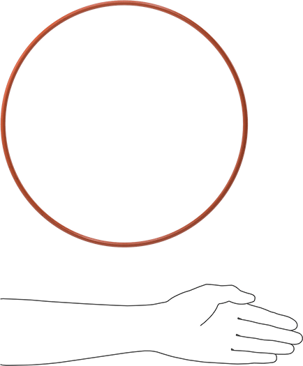 Yüksek Sıcaklık Silikon O-Ring, 1/4 Kesirli Genişlik, Dash Numarası 455