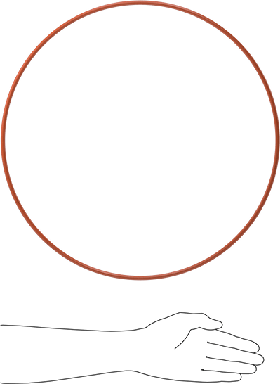 Yüksek Sıcaklık Silikon O-Ring, 1/4 Kesirli Genişlik, Dash Numarası 463