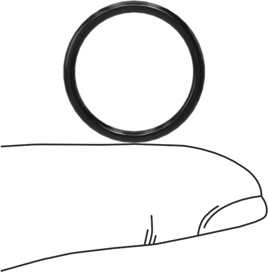 Kimyasala Dayanıklı Viton® Floroelastomer O-Ring, Yüksek Basınç, 1/16 Kesirli Genişlik, Dash No. 017