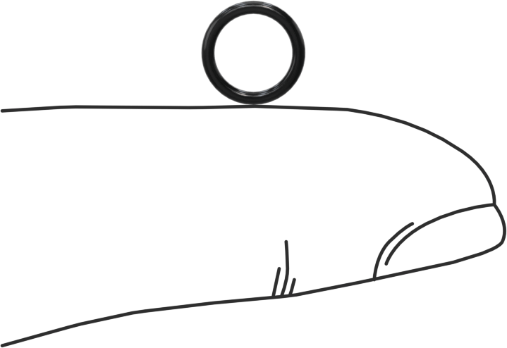 Yağa Dayanıklı Buna-N O-Ring, 1 mm Genişlik, 6 mm İç Çap