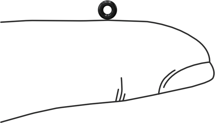 Yağa Dayanıklı Buna-N O-Ring, 1 mm Genişlik, 1.5 mm İç Çap