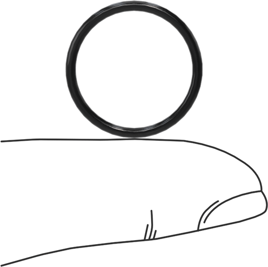 Yağa Dayanıklı Buna-N O-Ring, 1.5 mm Genişlik, 17 mm İç Çap