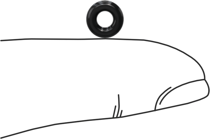 Yağa Dayanıklı Buna-N O-Ring, 2 mm Genişlik, 3 mm İç Çap