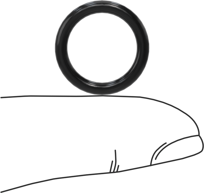 Yağa Dayanıklı Buna-N O-Ring, 2.4 mm Genişlik, 13.3 mm İç Çap