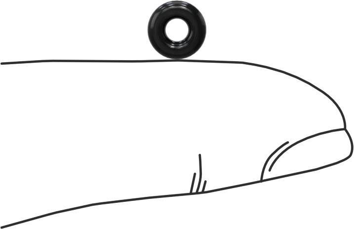 Yağa Dayanıklı Buna-N O-Ring, 2 mm Genişlik, 2.5 mm İç Çap