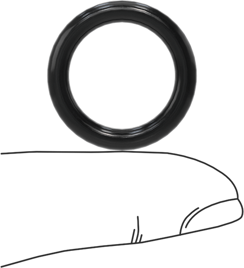 Yağa Dayanıklı Buna-N O-Ring, 3.5 mm Genişlik, 17 mm İç Çap