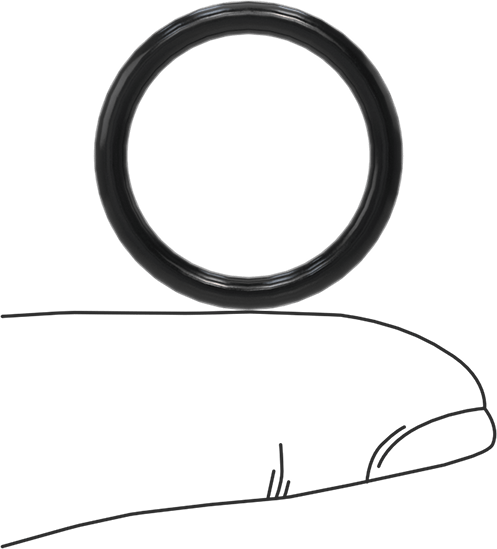 Yağa Dayanıklı Buna-N O-Ring, 2.62 mm Genişlik, 19.05 mm İç Çap