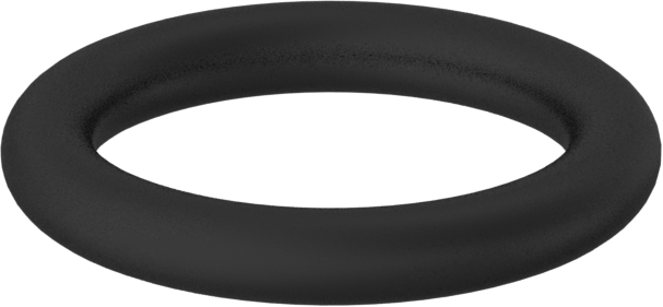 Kimyasala Dayanıklı Viton® Floroelastomer O-Ring, 2 mm Genişlik, 10 mm İç Çap