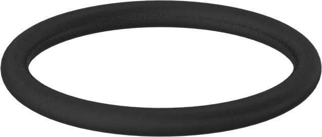 Kimyasala Dayanıklı Viton® Floroelastomer O-Ring, 2 mm Genişlik, 19 mm İç Çap