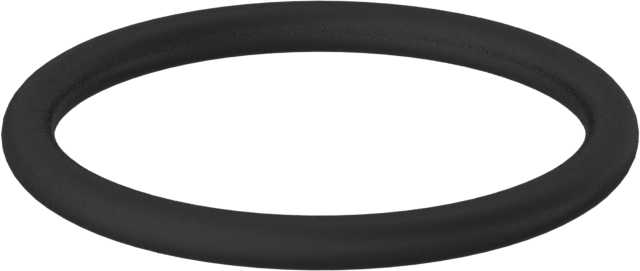 Kimyasala Dayanıklı Viton® Floroelastomer O-Ring, 2 mm Genişlik, 20 mm İç Çap