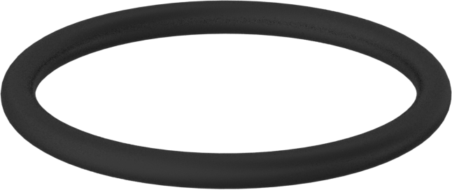 Kimyasala Dayanıklı Viton® Floroelastomer O-Ring, 2 mm Genişlik, 22 mm İç Çap