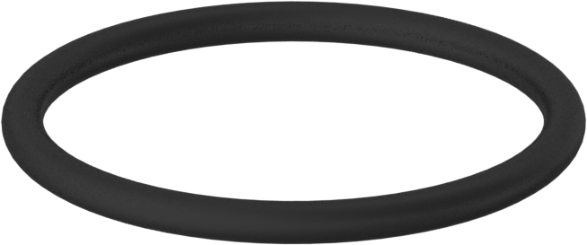 Kimyasala Dayanıklı Viton® Floroelastomer O-Ring, 2 mm Genişlik, 24 mm İç Çap