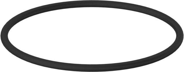 Kimyasala Dayanıklı Viton® Floroelastomer O-Ring, 1 mm Genişlik, 23 mm İç Çap
