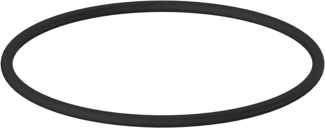 Kimyasala Dayanıklı Viton® Floroelastomer O-Ring, 1 mm Genişlik, 25 mm İç Çap