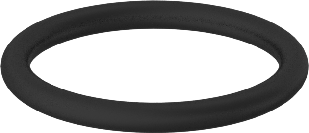 Kimyasala Dayanıklı Viton® Floroelastomer O-Ring, 2 mm Genişlik, 17 mm İç Çap