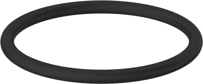 Kimyasala Dayanıklı Viton® Floroelastomer O-Ring, 2 mm Genişlik, 25.5 mm İç Çap